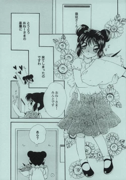 Page 4 of Chokominto