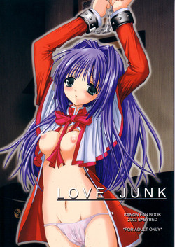 Download LOVE JUNK