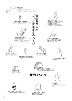 Page 23 of Gekkou Jourei