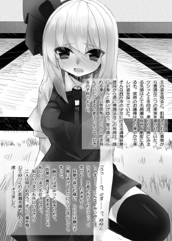 Page 14 of Touhou Ero Hon+