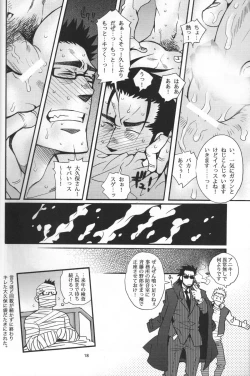 Page 15 of Shouka Dou #5