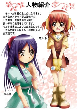 Page 5 of 『BISKUITS FIGHTER〜 nerawareta Elf no shoujo 〜”