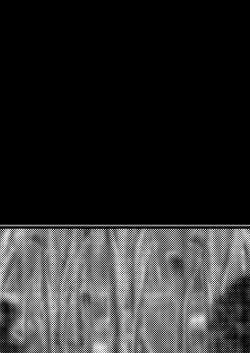 Page 90 of 『BISKUITS FIGHTER〜 nerawareta Elf no shoujo 〜”