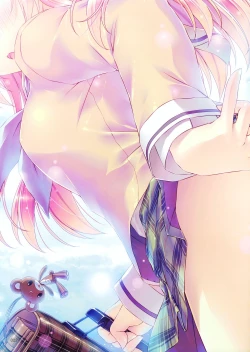 Page 29 of Shirimani