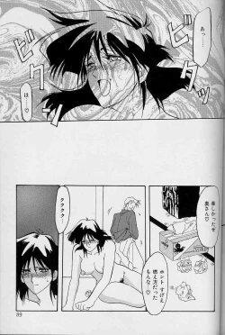 Page 88 of Hiiro no Koku Joukan