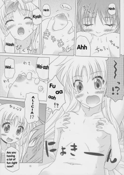 Page 14 of Sorairo no Kioku