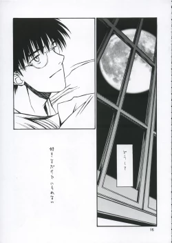 Page 14 of Shiawasenakarada