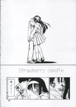 Page 25 of Shiawasenakarada