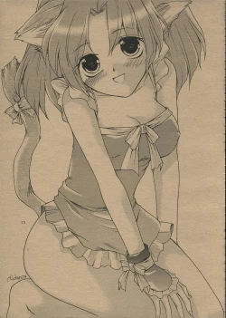 Page 14 of Doubutsuno Mori-