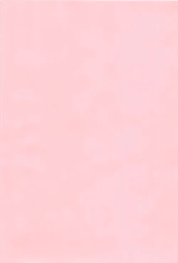 Page 4 of Bishoujo Party