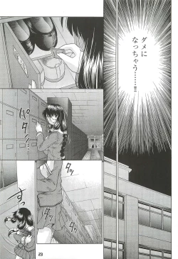Page 23 of Kousoku Tsuushin Release Candidate 2