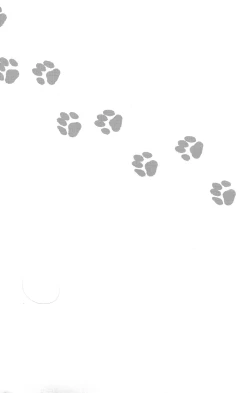 Page 12 of 103 Goushitsu no Neko