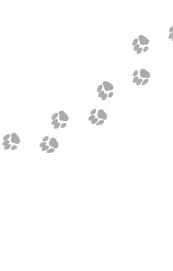 Page 25 of 103 Goushitsu no Neko