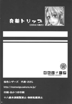 Page 29 of Ryouyaku Trip