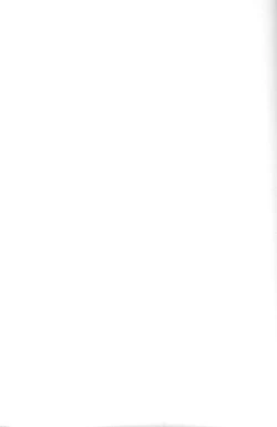 Page 205 of SpitFire Classic