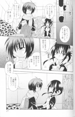 Page 31 of SpitFire Classic