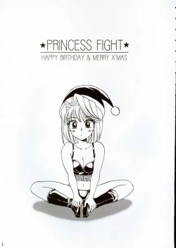 Page 2 of PRINCESS FIGHT