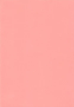 Page 4 of To Aru Suika no Shuchi Nikurin