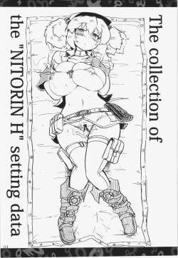 Page 4 of Nitorin H Shiryoushuu
