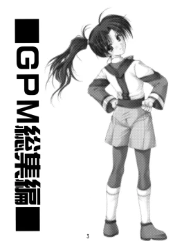 Page 3 of GPM Soushuuhen
