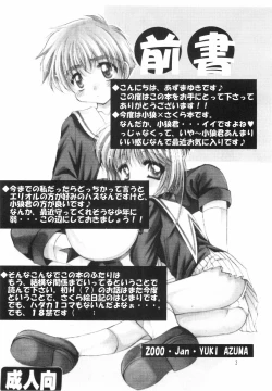 Page 3 of Sakura Enikki