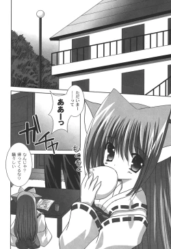 Page 23 of Nichoume no Nekogamisama
