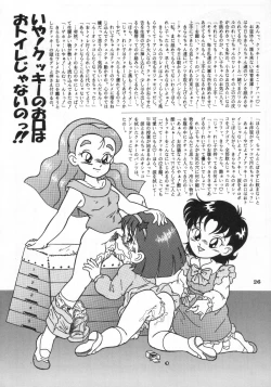 Page 25 of RHF vol.24 Seikyouiku Shidouyouryou