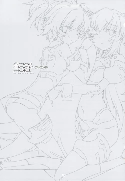 Page 2 of Small Package Hold.