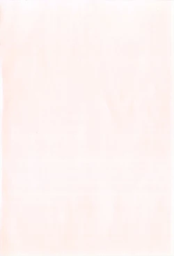 Page 3 of Rorirori Kankan