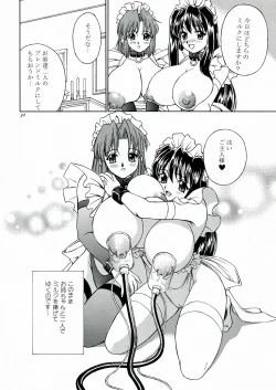 Page 33 of DOLLS DIARY 5