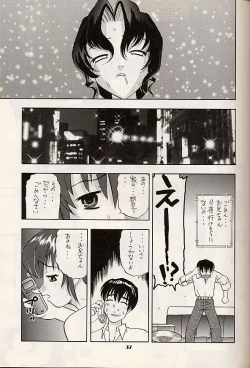 Page 37 of Vitamin B4