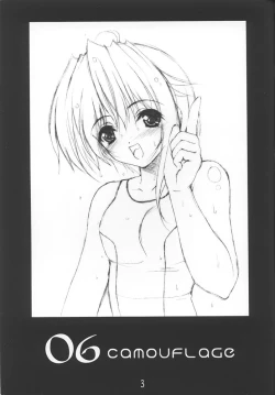 Page 2 of 06 camouflage