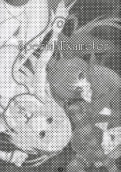 Page 2 of Special Exameter