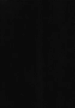 Page 17 of Hatsujou Princess 4