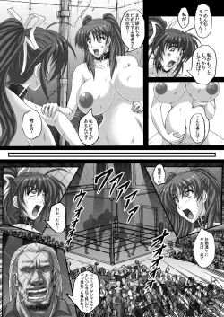 Page 40 of Baritude Nikubenki