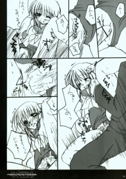 Page 14 of Animal Protection Week.