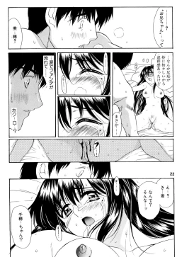 Page 21 of Gemini Drive