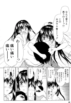 Page 25 of Gemini Drive