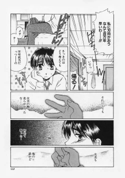 Page 119 of FLAVOR MIX