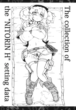Page 3 of Nitorin H Shiryoushuu