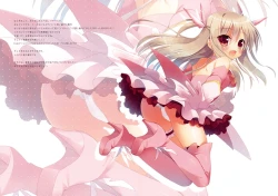 Page 14 of Illya ga Imouto nara Shikatanai!