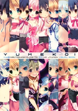 Page 20 of Yumekoi Visual Book