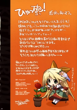 Page 33 of KOTAMAROOM