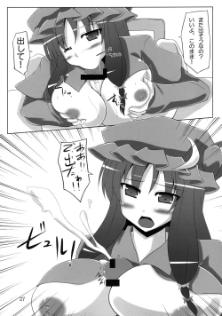 Page 27 of Pachupunte