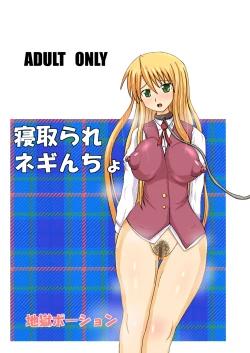 Page 27 of Netorare Negincho