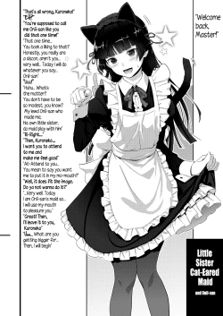 Page 16 of Kuroneko Lion Heart