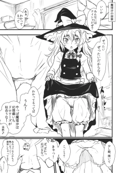 Page 2 of Kirisame Marisa Kaitai Seisho