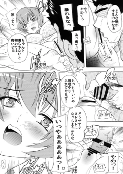 Page 12 of Dorei Seitokaichou ～Tatenashi～