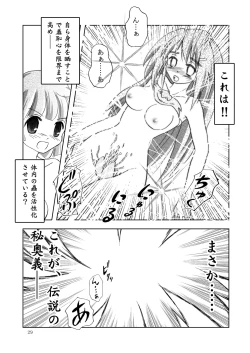 Page 29 of GaSSyoku 2