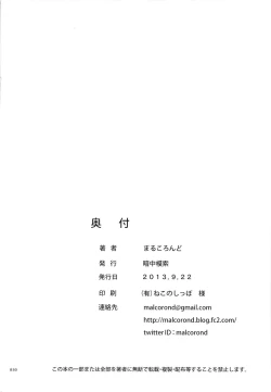 Page 29 of Silica no Usuusu na Ehon Rei